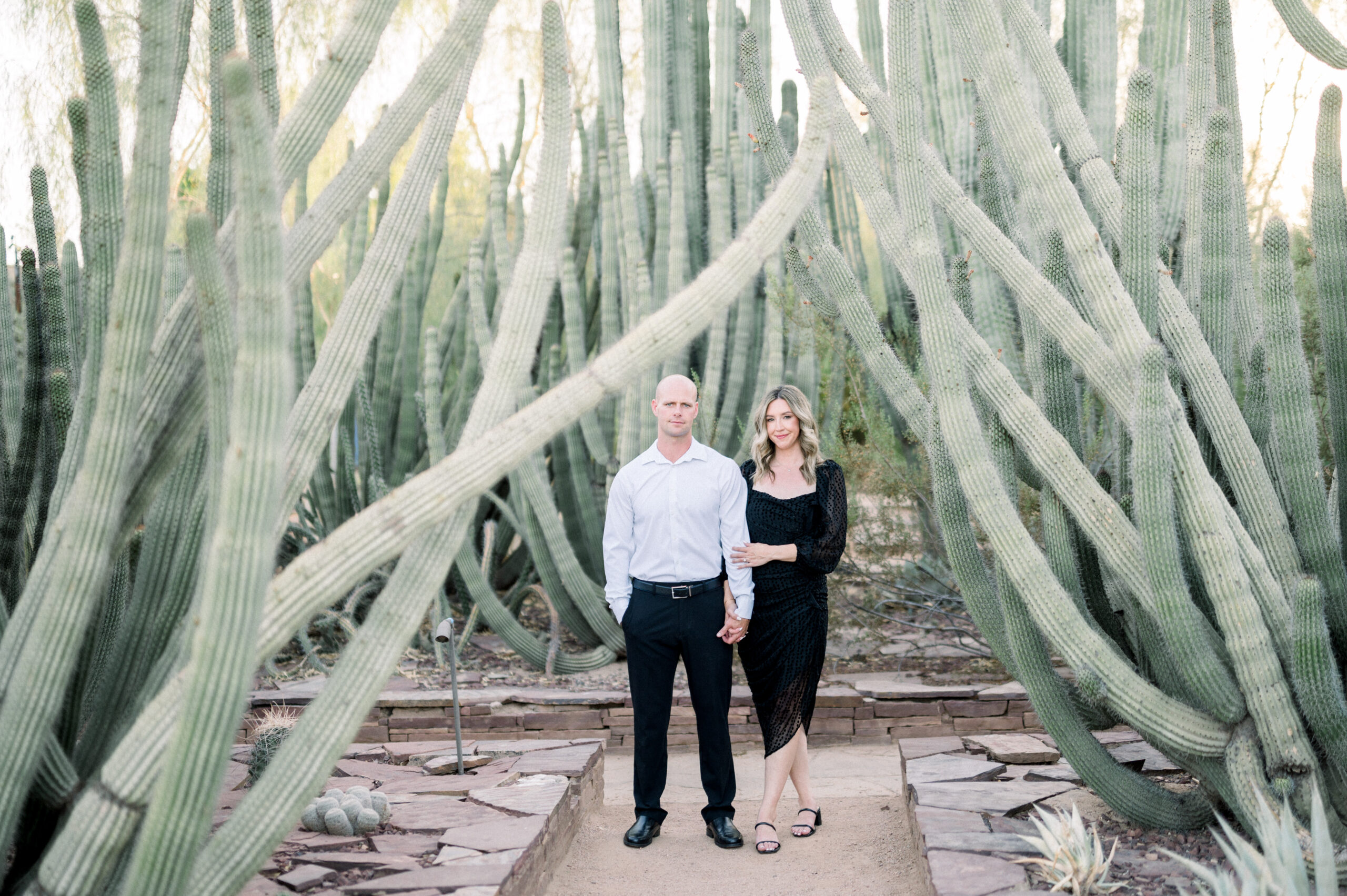 Nothing beats the beauty of the Phoenix desert, especially for a Desert Botanical Gardens Engagement Session. Lindley and Cole are getting married soon!